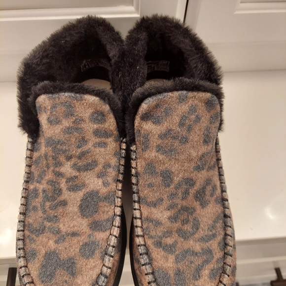 Hey Dudes - Picture 5 of 8